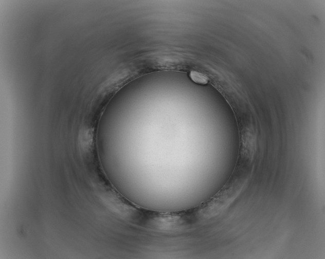 X0000110720278200906191512