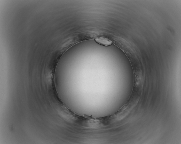 X0000110720279200906191512
