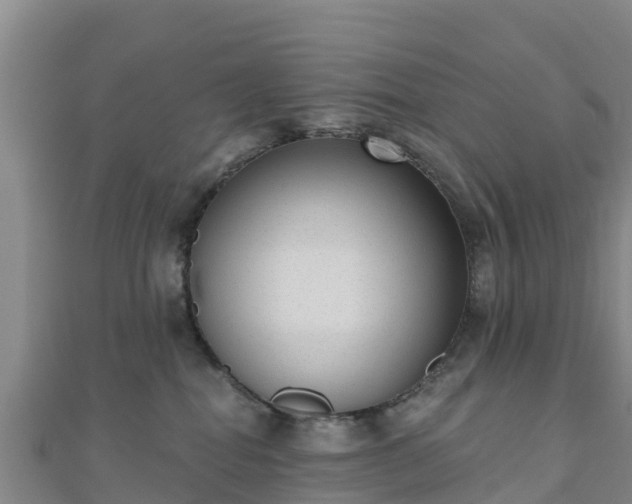 X0000110720282200906191512