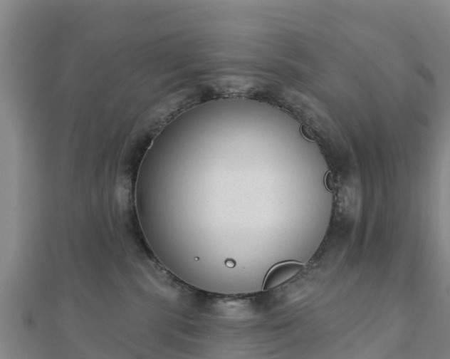 X0000110720283200906191512
