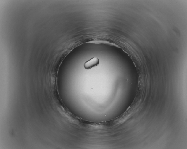 X0000110720284200906191512