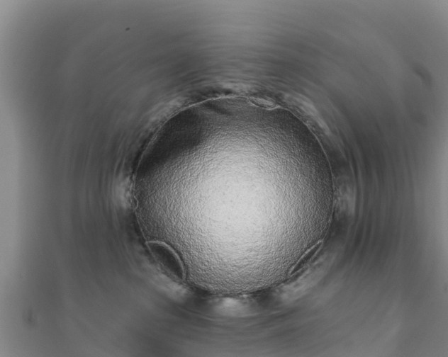 X0000110720285200906191512