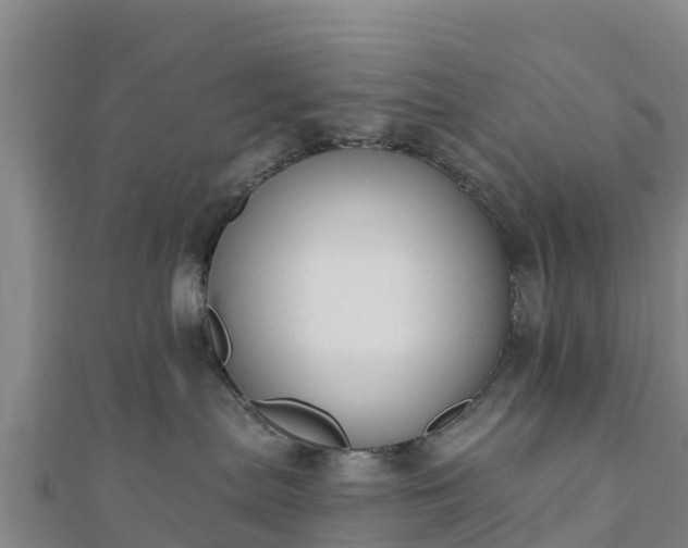 X0000110720287200906191512