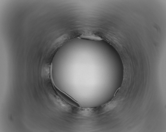 X0000110720288200906191512