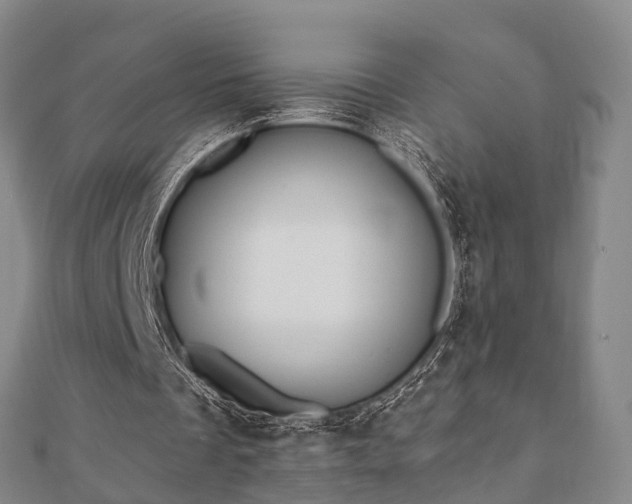X0000110720289200906191511