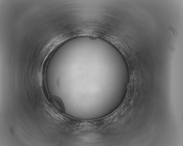 X0000110720290200906191511