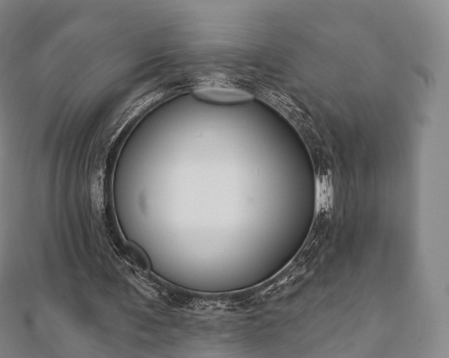 X0000110720291200906191511