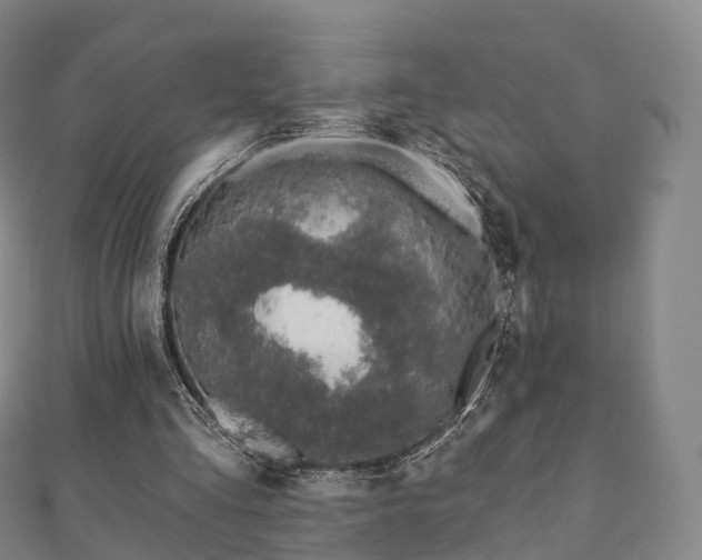 X0000110720293200906191511