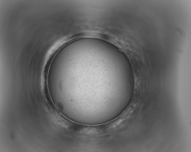 X0000110720294200906191511