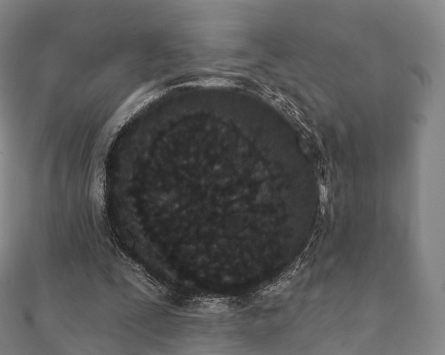X0000110720295200906191511