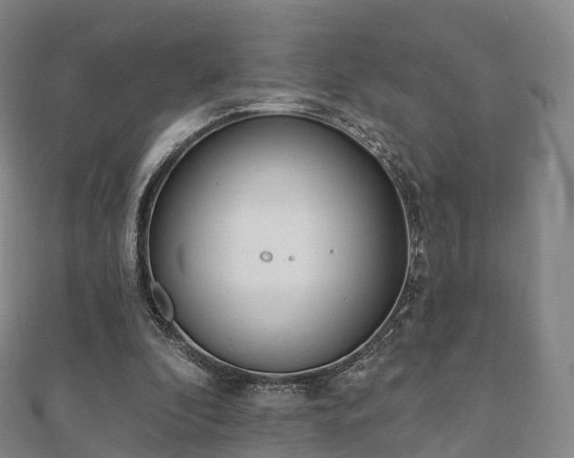 X0000110720296200906191511