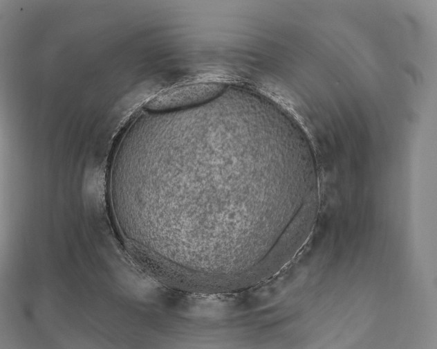 X0000110720297200906191511