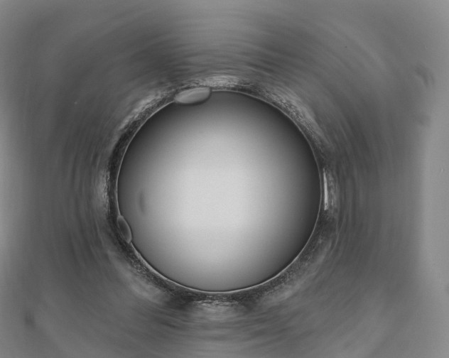 X0000110720300200906191511