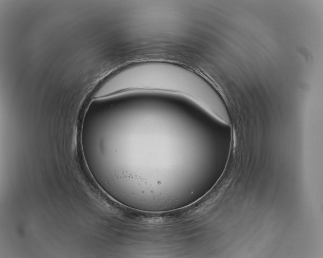 X0000110720301200906191511