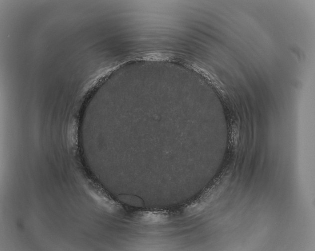 X0000110720303200906191511