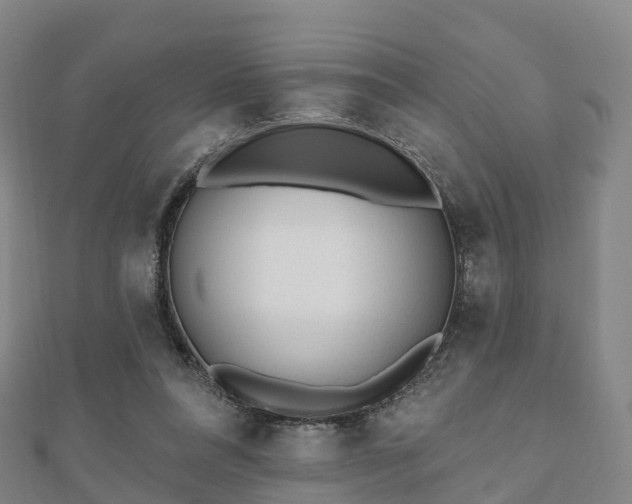 X0000110720304200906191511