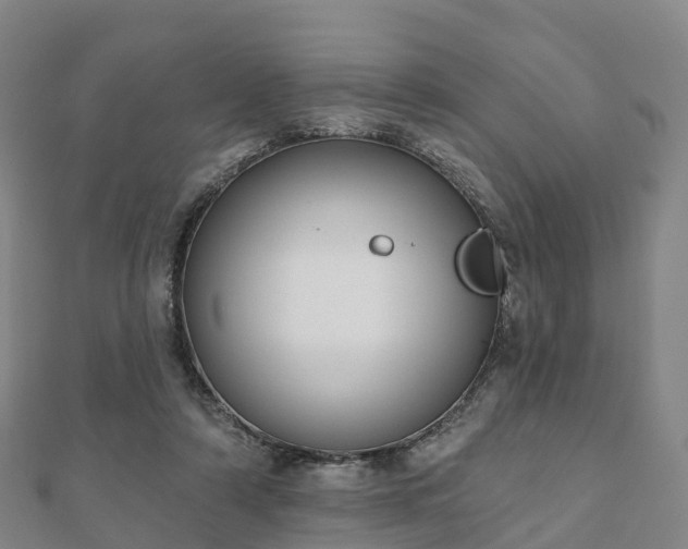 X0000110720306200906191511