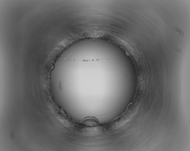 X0000110720307200906191511