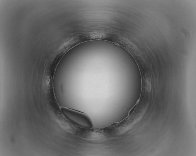 X0000110720308200906191511