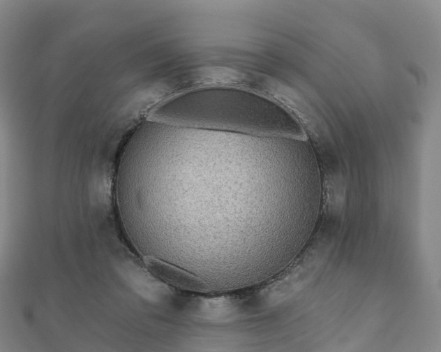 X0000110720309200906191511