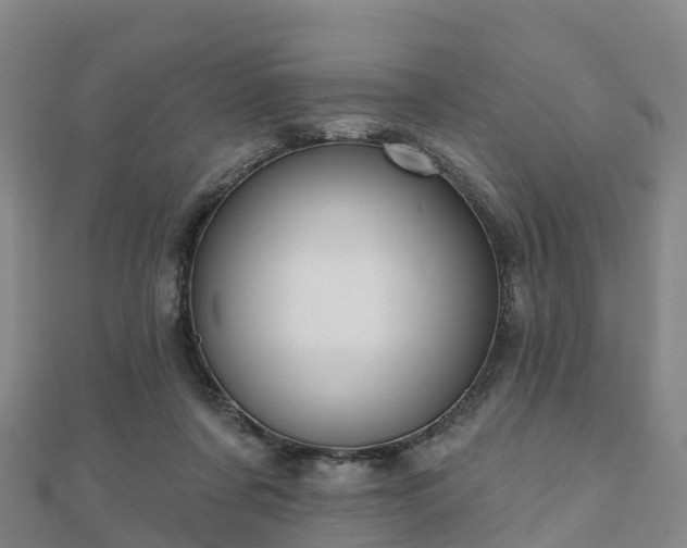X0000110720311200906191511