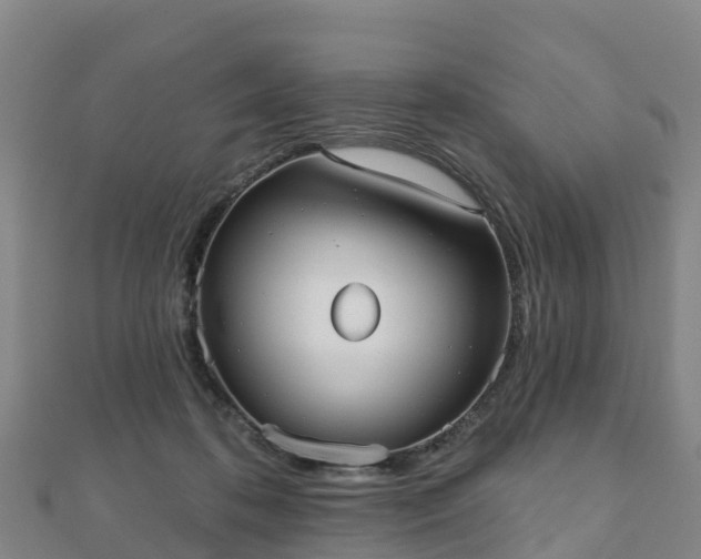 X0000110720316200906191511