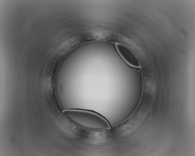 X0000110720317200906191511