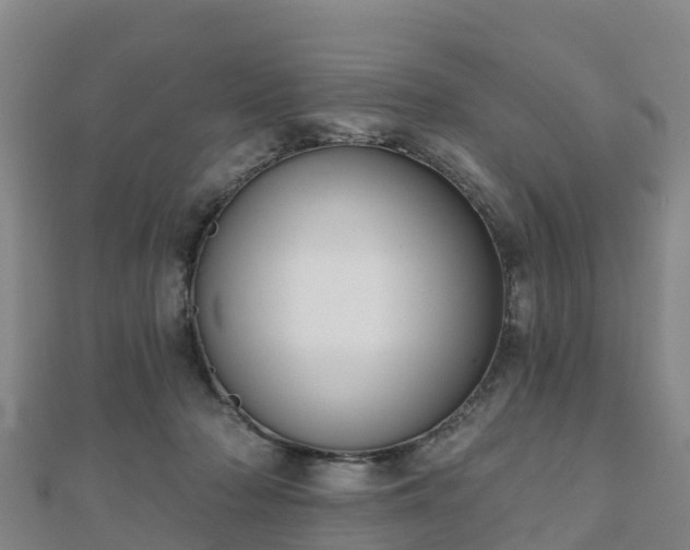 X0000110720318200906191511