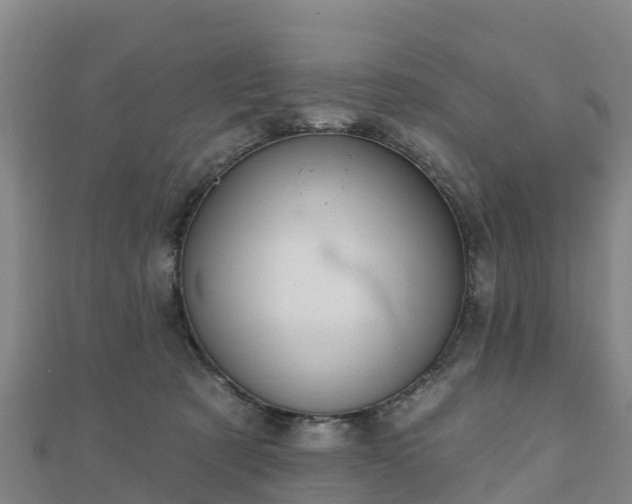 X0000110720321200906191511