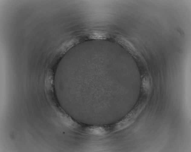 X0000110720322200906191511