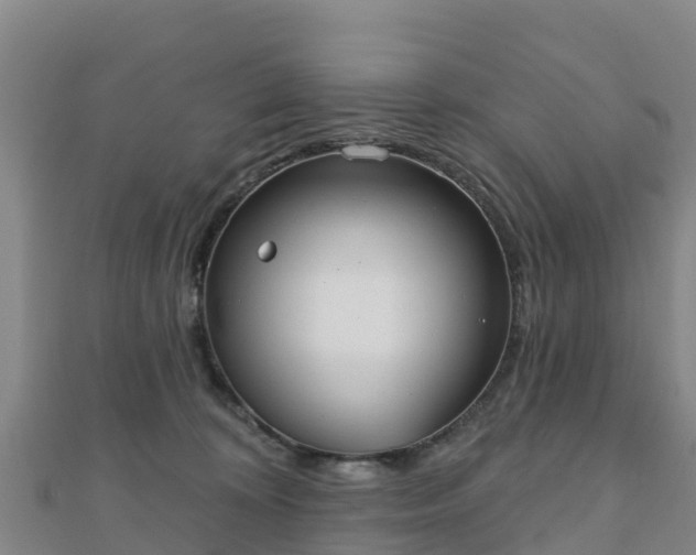 X0000110720324200906191511