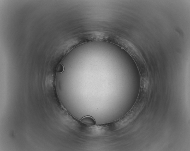 X0000110720326200906191511