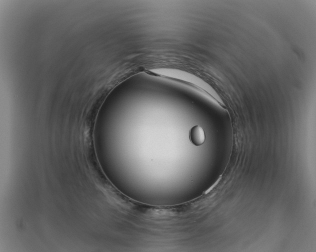 X0000110720327200906191511