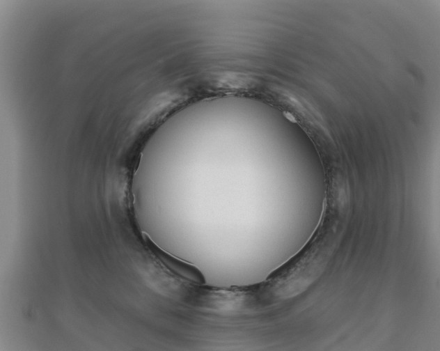 X0000110720328200906191511