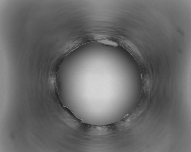 X0000110720329200906191511
