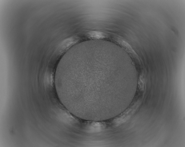 X0000110720330200906191511