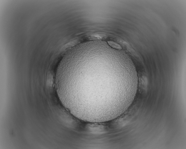 X0000110720331200906191511