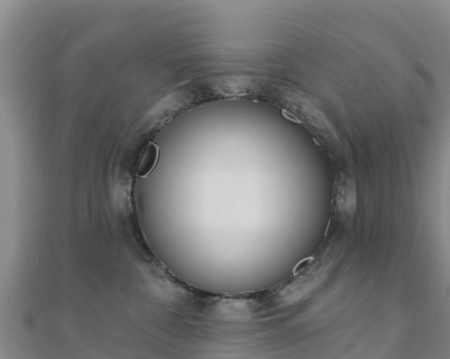 X0000110720332200906191511