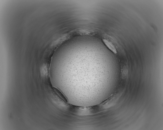 X0000110720335200906191511
