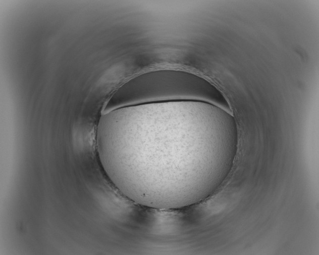 X0000110720336200906191511