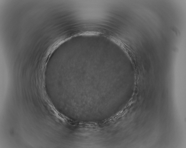 X0000110720337200906191510