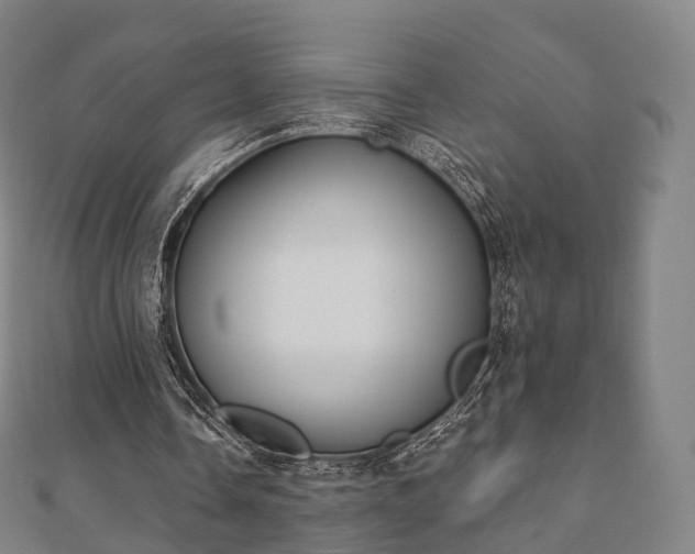 X0000110720338200906191510