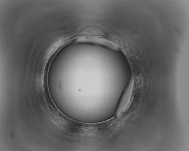 X0000110720340200906191510