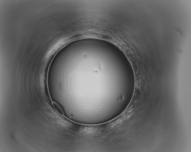 X0000110720341200906191510