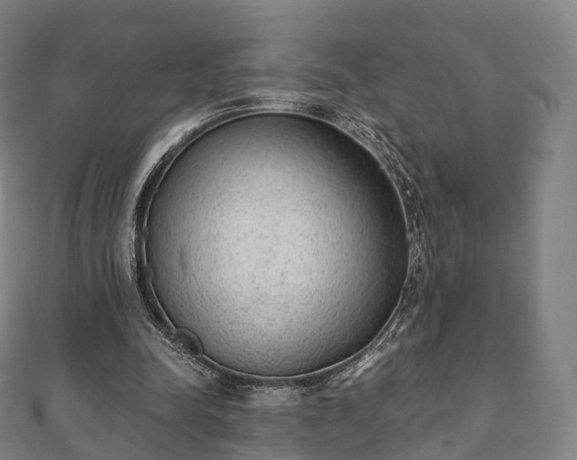 X0000110720342200906191510
