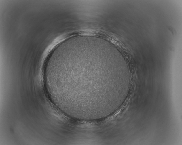 X0000110720343200906191510