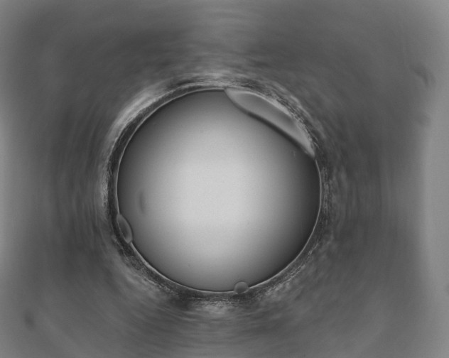 X0000110720344200906191510