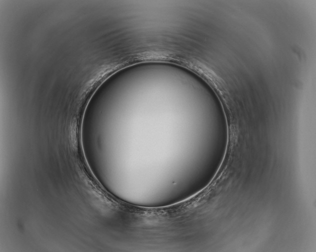 X0000110720345200906191510