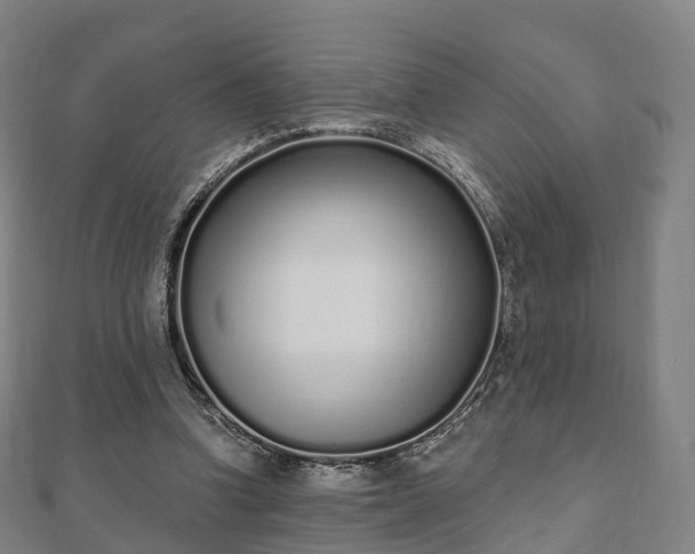 X0000110720346200906191510
