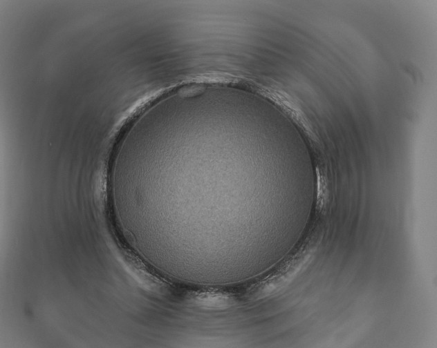 X0000110720348200906191510